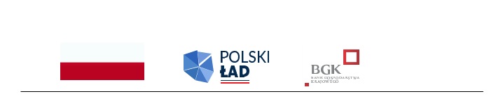 Logo polski ład.jpg